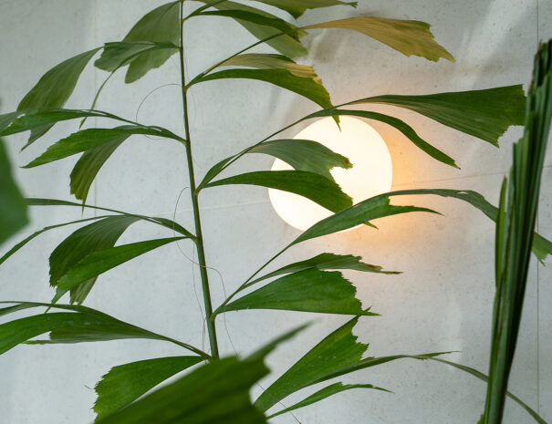 CASABELL3_CAMINITO DEL REY_ALOJAMIENTO_LICUA_galeria_67