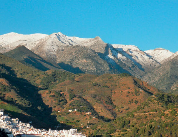 CASABELL3_SIERRA DE LAS NIEVES_ALOJAMIENTO_LICUA_1400X934